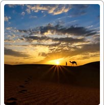 Sand Dunes Jaisalmer