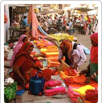 Rajasthani Handicraft