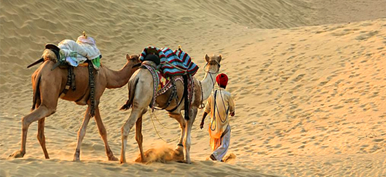 har Desert Jaisalmer