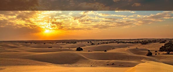 Thar Desert Jaisalmer, Rajasthan Tourism