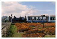 Darjeeling