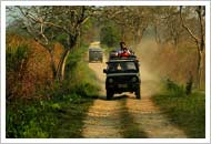 JEEP SAFARI