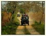 Explore Rural Rajasthan By Horse And Jeep Safaris
